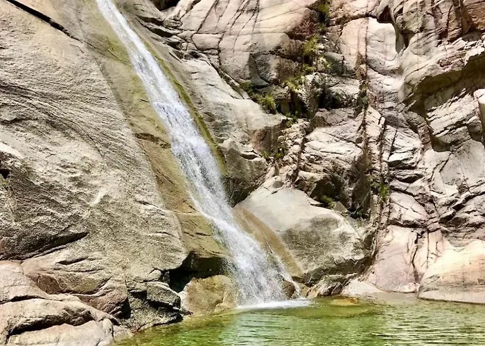 Daire T2 Climatise Avec Terrasse A 5min Des Plages Lecci